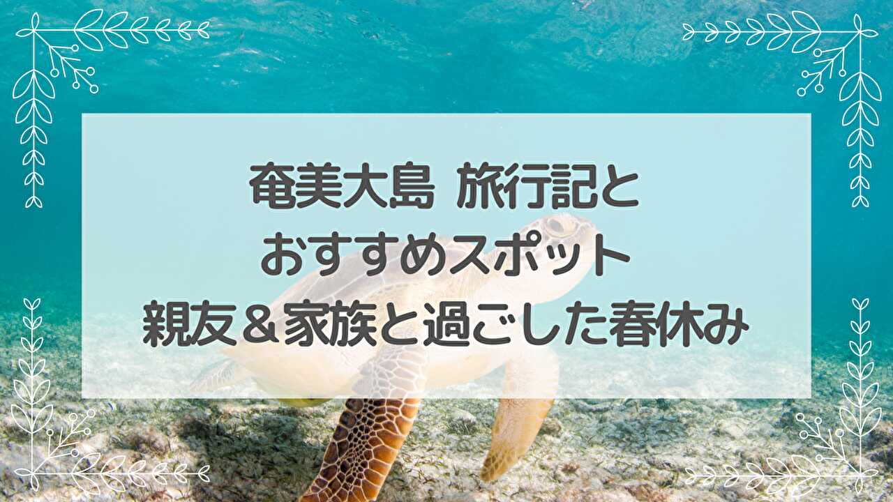 奄美　海　ウミガメ
