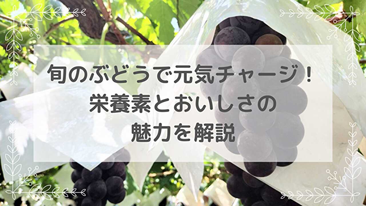 ぶどう　栄養　旬