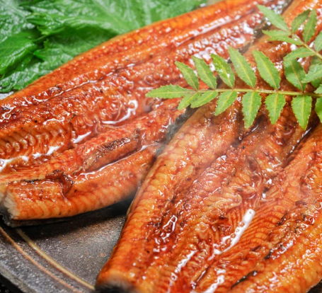 うなぎ蒲焼き