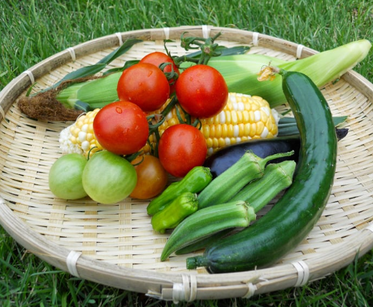 夏野菜セット